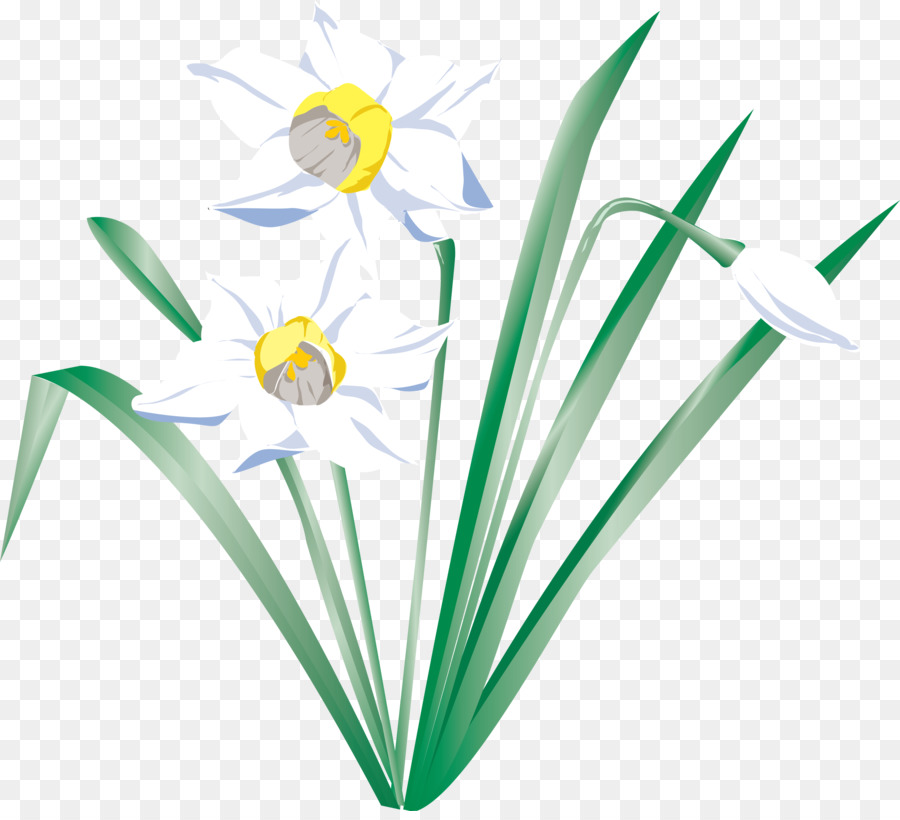 Fiore I Wandered Lonely as a Cloud Daffodil - 