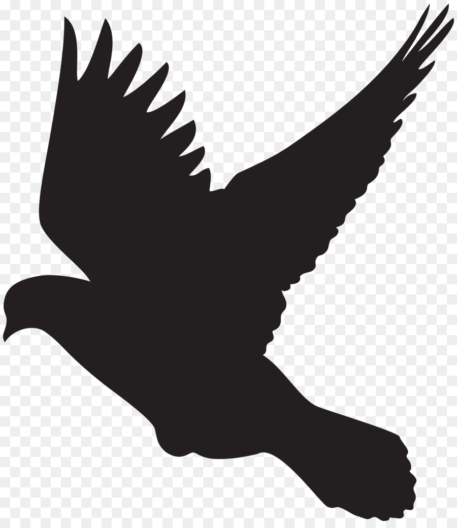 Columbidae Silhouette Zeichnung Dove Clip art - Tauben