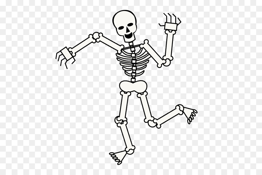 Human Skull Drawing png download - 678*600 - Free Transparent Skeleton png  Download. - CleanPNG / KissPNG