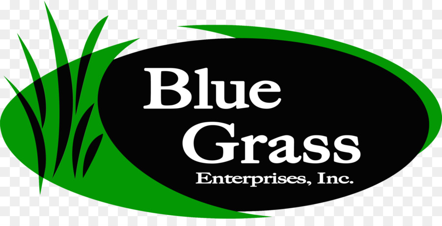 Blue Grass Imprese Sod Cedar Rapids Prato Kentucky bluegrass - tappeto erboso