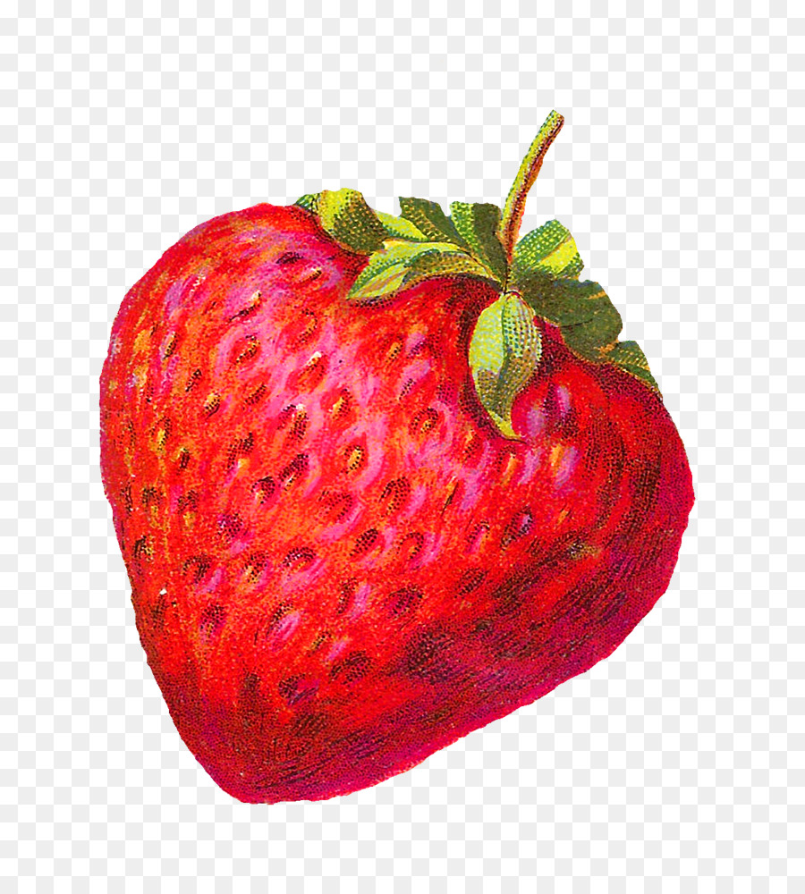 Strawberry Shortcake Obst Clip art - Beeren