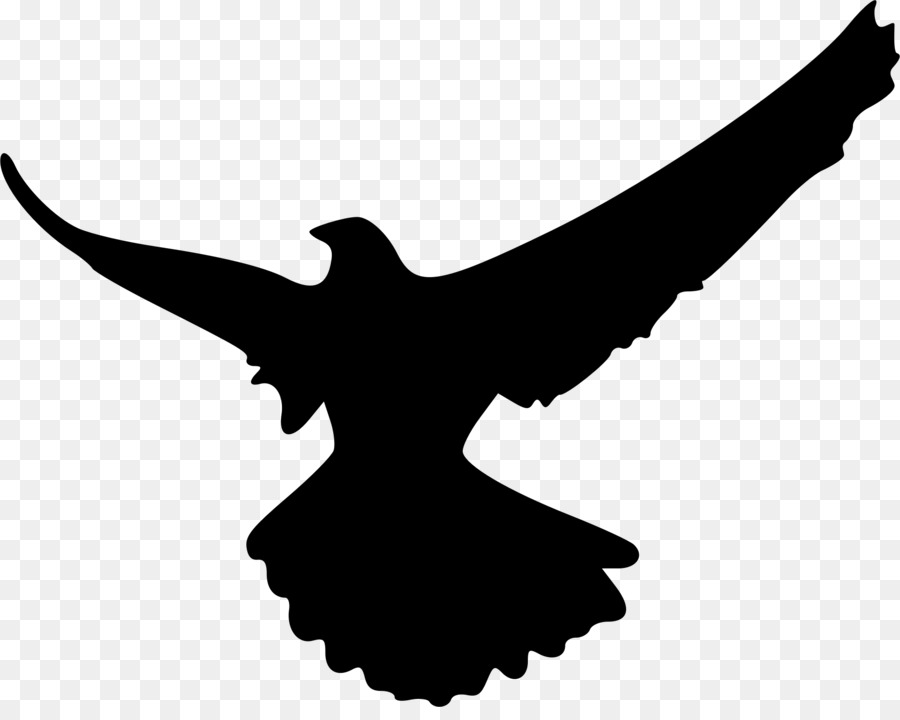 L'Aquila calva Uccello Clip art - Aquila americana