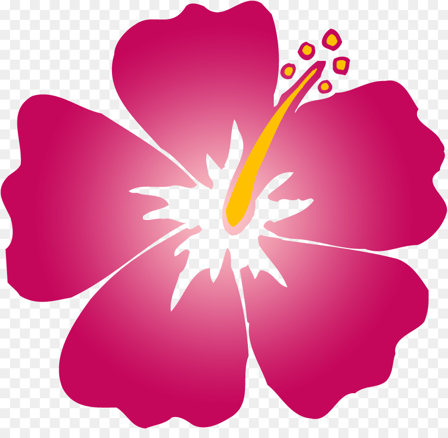Hawaii bụt Alyogyne huegelii Hoa Clip nghệ thuật - hawaii hoa