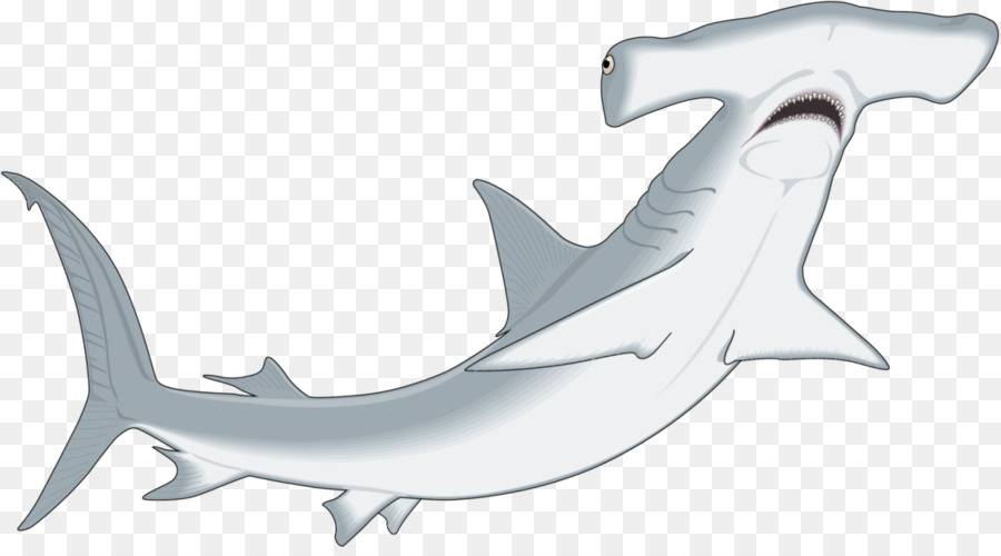 Winghead shark Große Hammerhai hammermäßige Clip-art - Haie