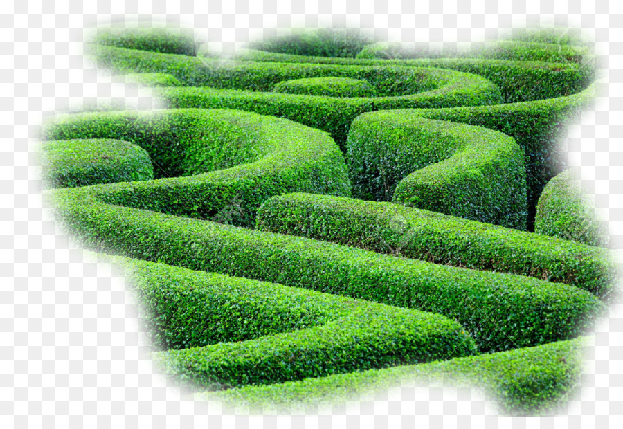 Hedge-Labyrinth, Labyrinth-Pflanze Strauch - Labyrinth