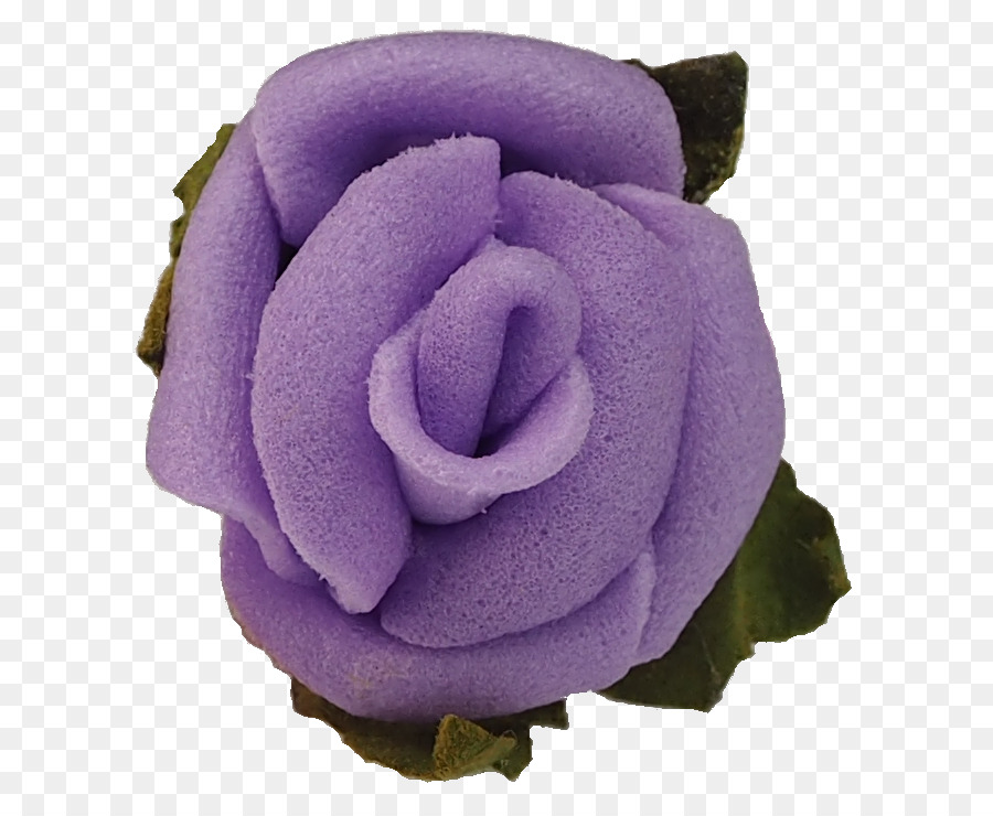 Garten Rosen Lila Schnittblumen - Lavendel Blume