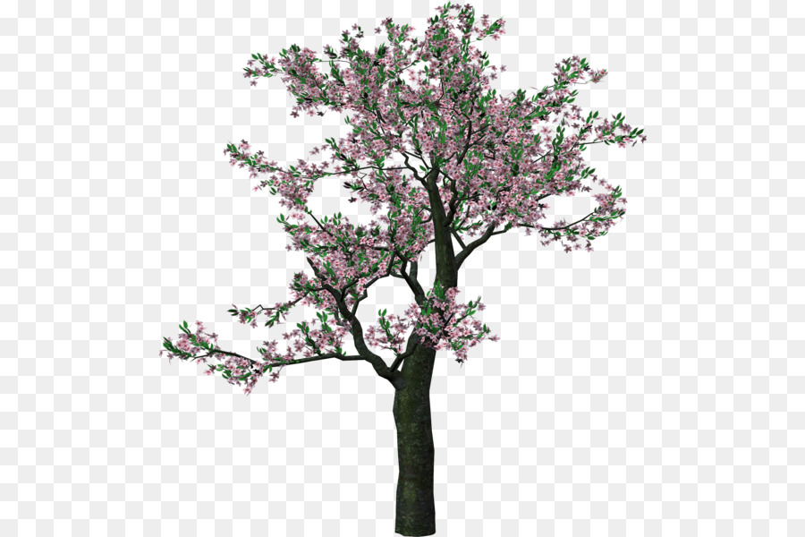 Tree Clip Art - Frühling weiterleiten