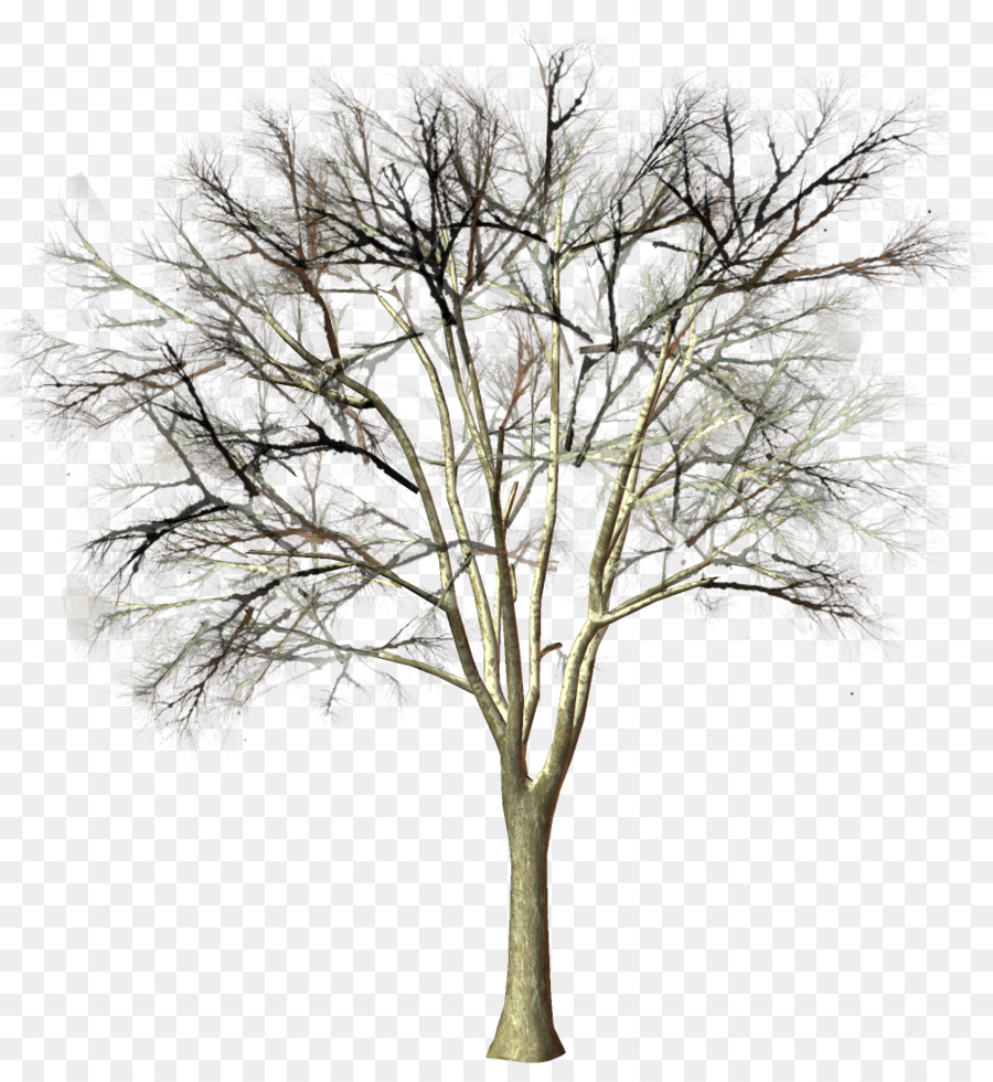 Ramo di albero di piante Legnose Clip art - neve albero