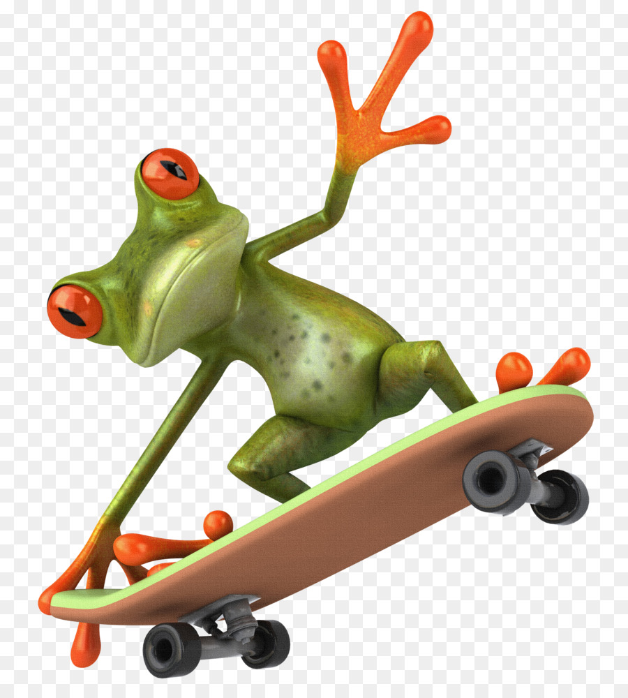 Frosch-Skateboarding Clip-art - Amphibien