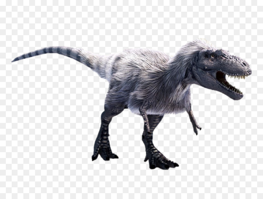 Albertosaurus Bảo Tàng Mô Phỏng Tyrannosaurus Daspletosaurus Torvosaurus - tyrannosaurus