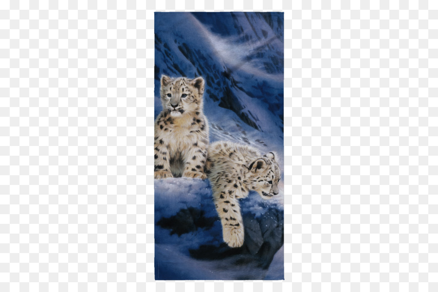 Báo Cheetah Khăn Mèo Sơ - cái khăn tắm biển