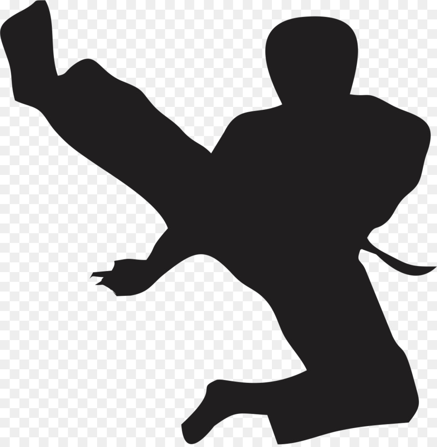 Flying kick-Taekwondo-Karate-Kampfsport - Karate
