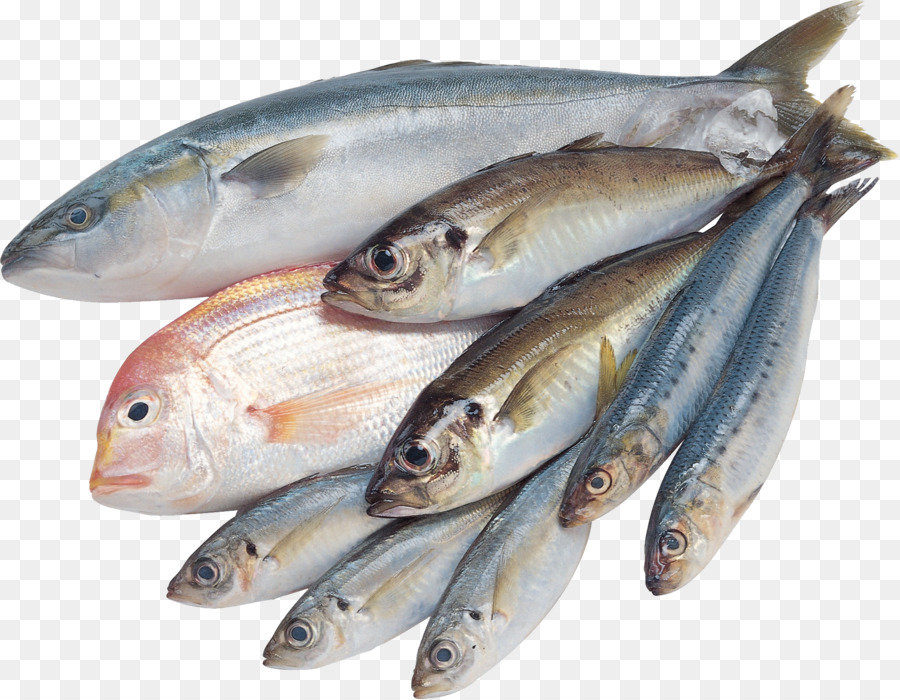 Angeln-Salzwasser-Fisch Goldfisch - Fische