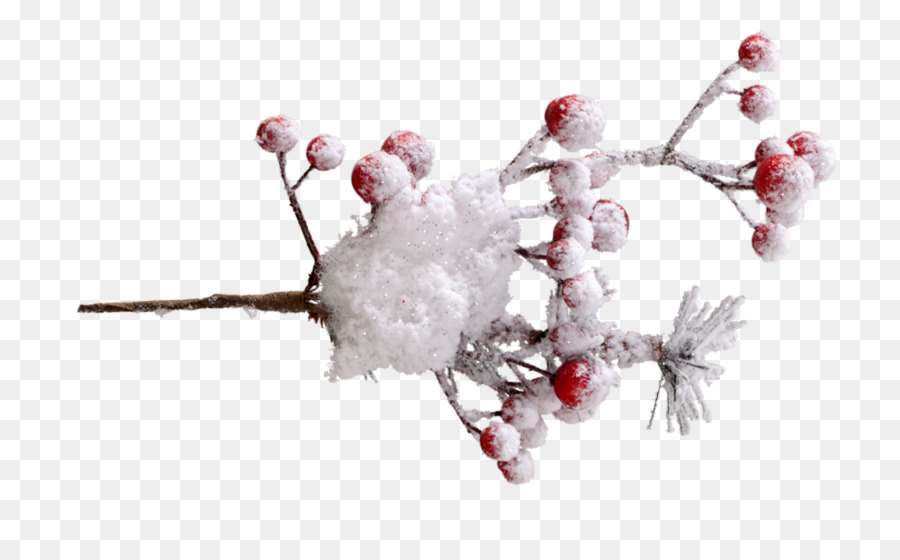 Zweig, Zweig, Baum, Körper-Schmuck Schnee - Beeren