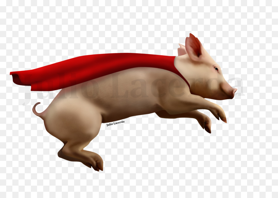 Domestic pig Wenn Schweine Fliegen-Schwein-racing Melbourne - Schwein