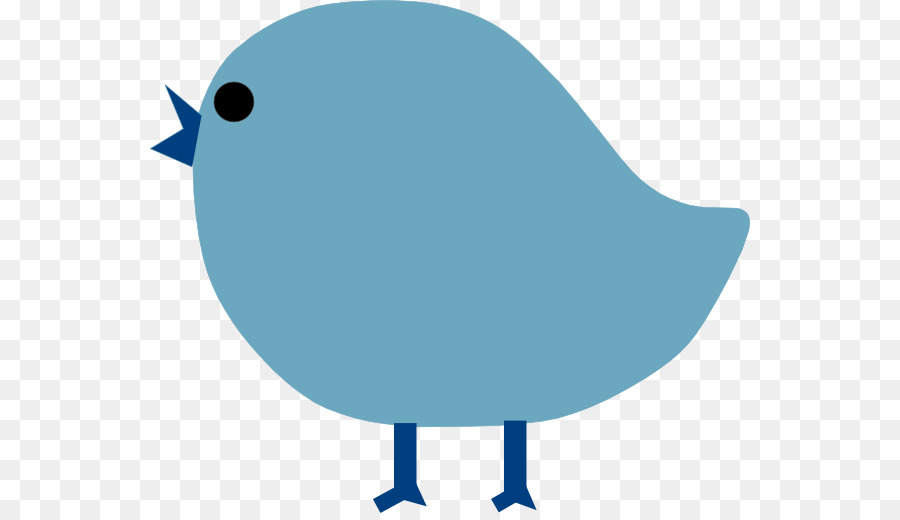 Wasser-Vogel Kobalt-blau-Türkis-Teal - Blauer Vogel