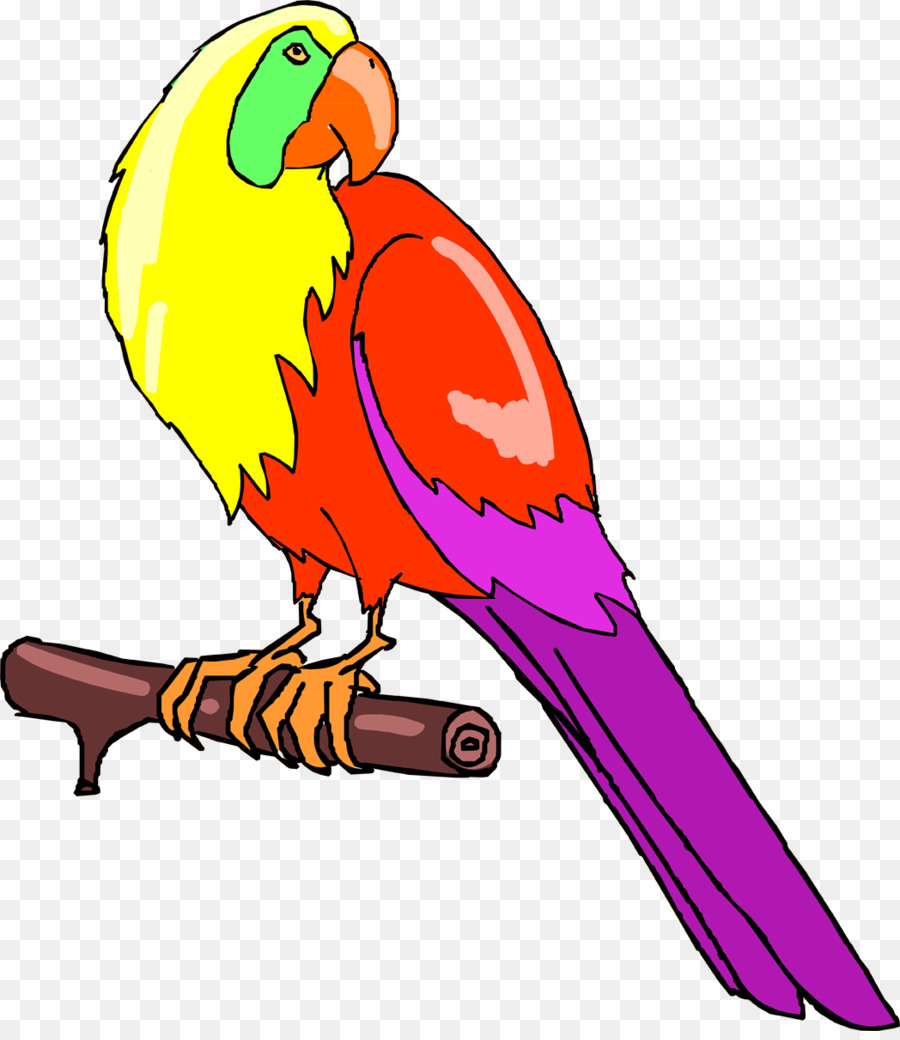 Vogel Papagei Sittich Ara-Feder - Papageien