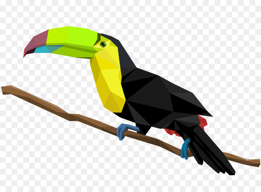 Vogel Toco toucan Piciformes - Toucan