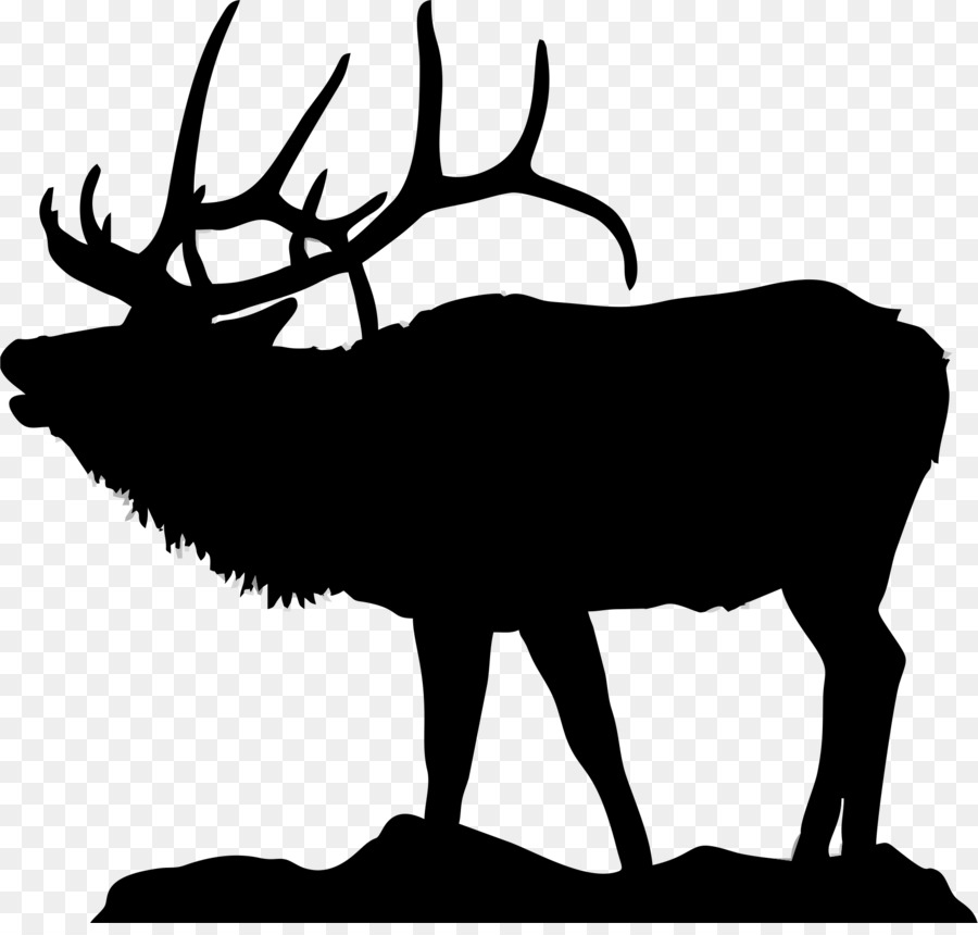 Elk Deer Moose clipart - geweih