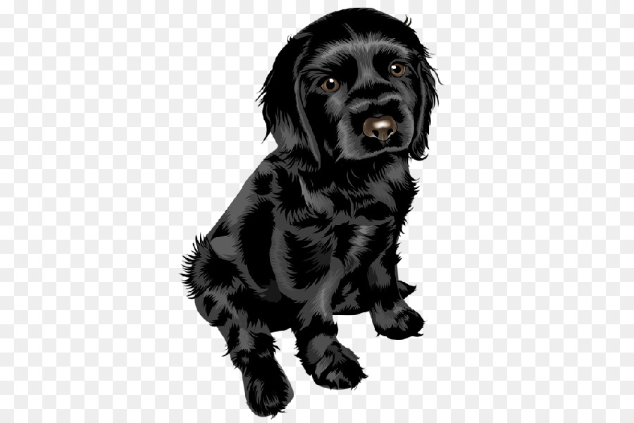 Welpen-Yorkshire Terrier Bulldog Miniatur Schnauzer, Mops - niedlichen Hund