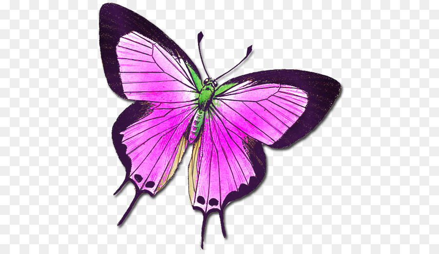 Schmetterling Insekt Tier Falter Clip-art - buterfly