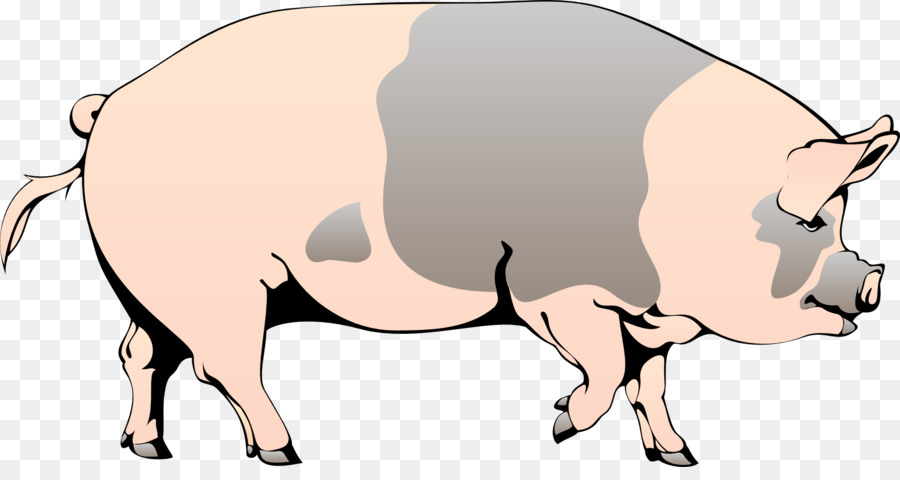 Hausschwein Clip art - Tiere auf dem Bauernhof