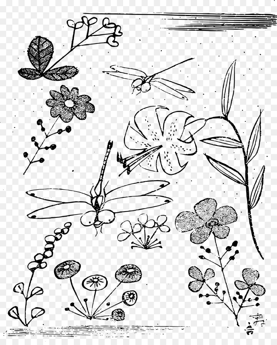 Linea arte Disegno Clip art - dragon fly