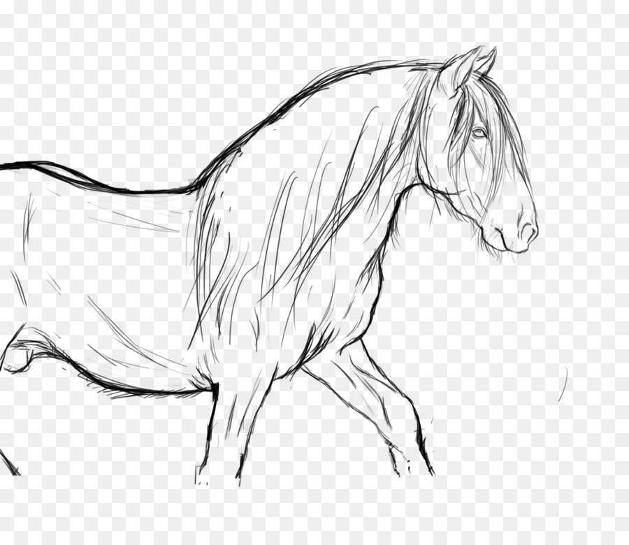 Arabian horse Line-art Zeichnung Pony-Aufzucht - Einhorn Kopf