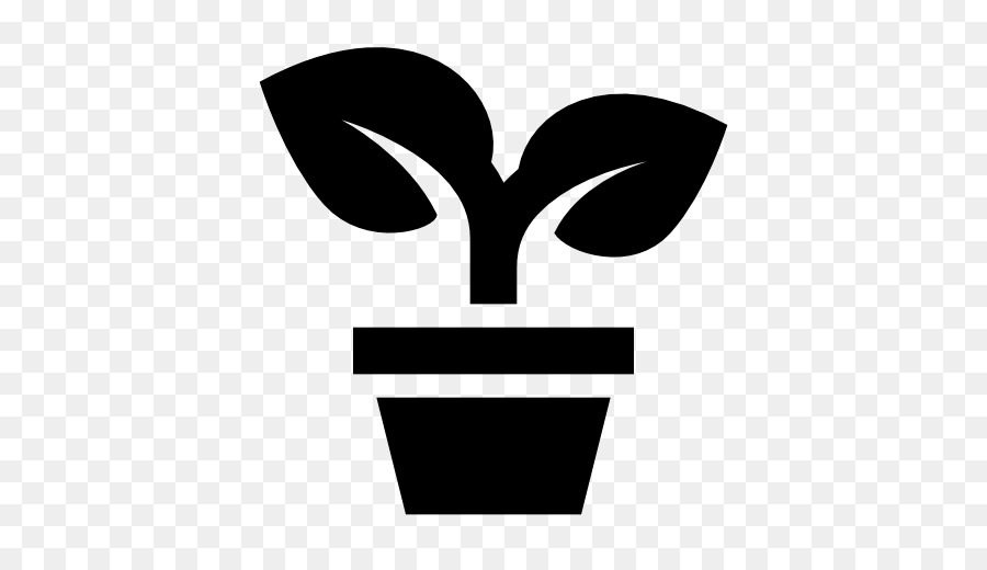 Icone del Computer Pianta Albero Sempreverde Clip art - piante in vaso