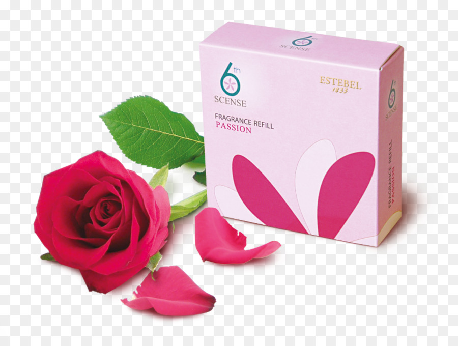 Garten Rosen Parfüm Aroma compound Aromatherapie Geruch - Aromatherapie