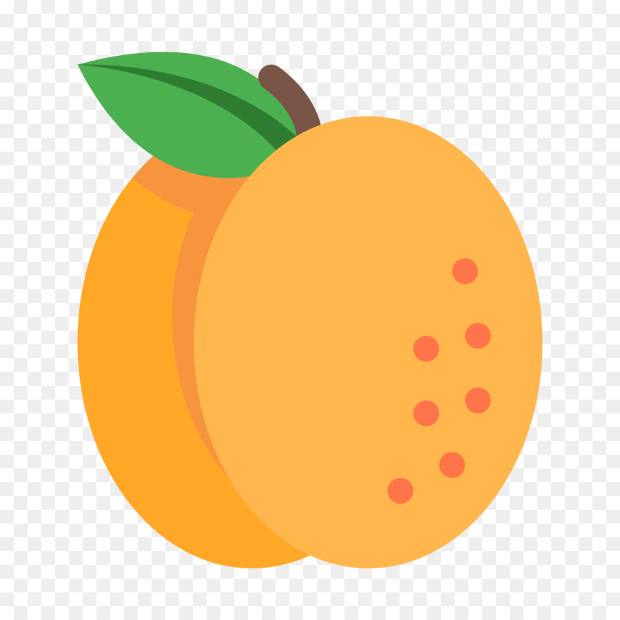 Saft, Getrocknete Früchte-Aprikosen-Computer-Icons - mango Vektor