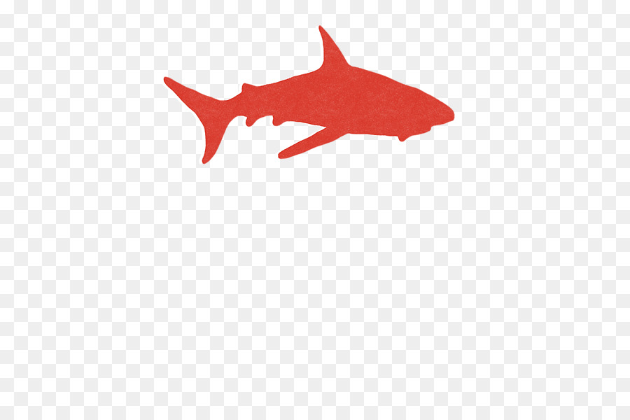 Áo cá Mập T-shirt Ngủ - con cá mập