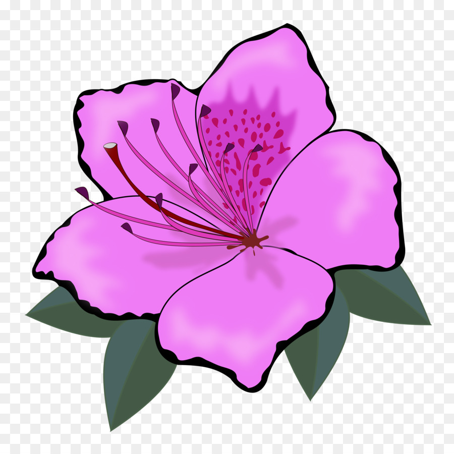 Hoa Cam Clip nghệ thuật - hawaii hoa