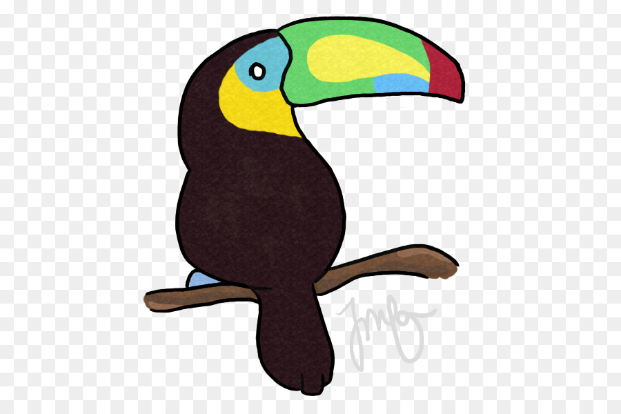 Papagei Vogel Tukan Schnabel Piciformes - Toucan