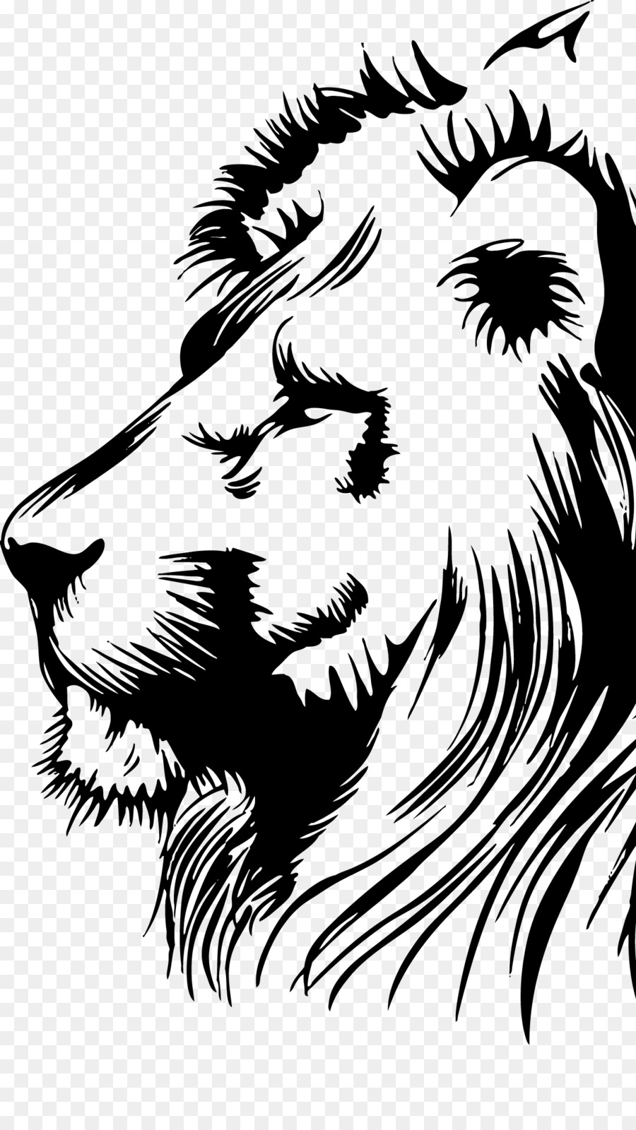 Lionhead Kaninchen Zeichnung Clip art - Leon