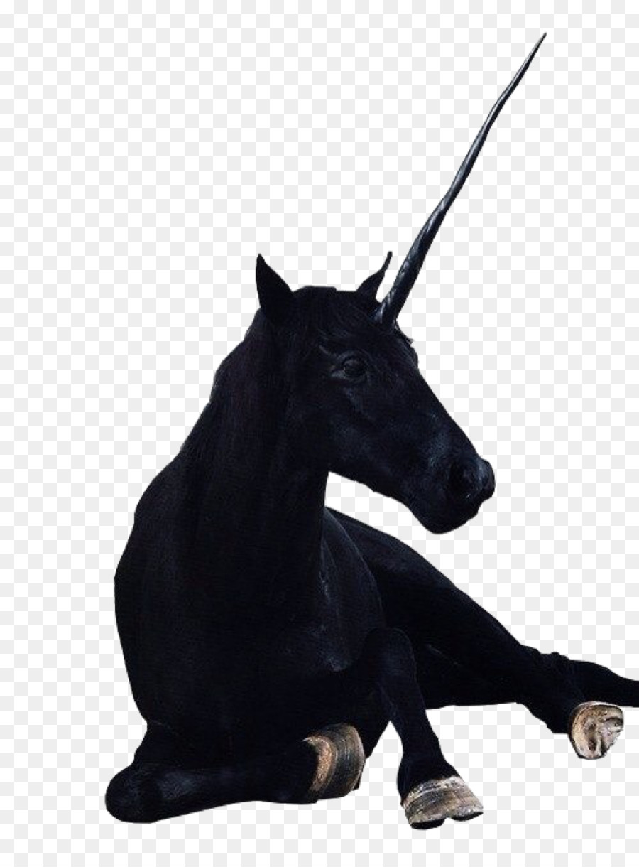 Il Black Unicorn creatura Leggendaria Cavallo Civiltà della Valle dell'Indo - unicorno