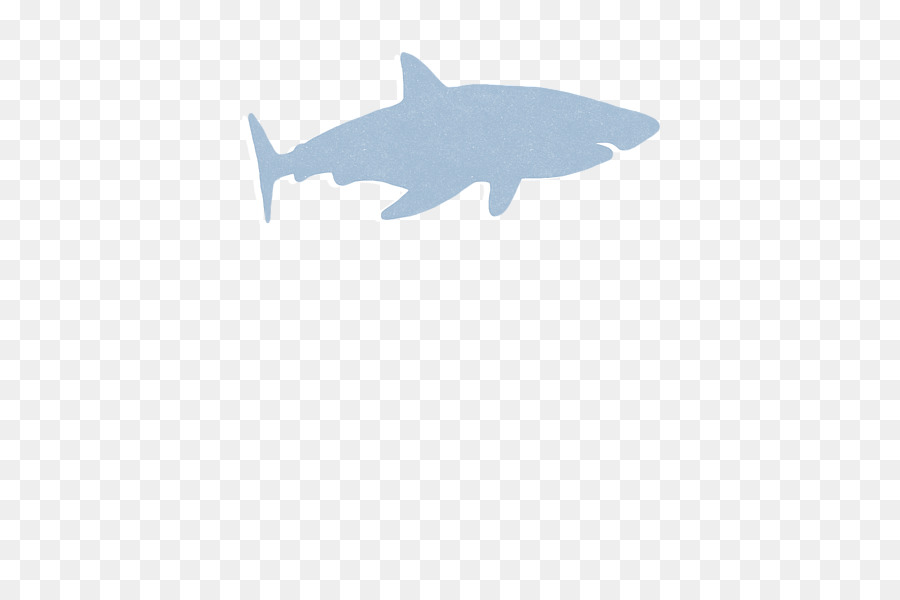 Requiem shark Chondrichthyes Marine Marine mammal Biologie Fisch - babyhai