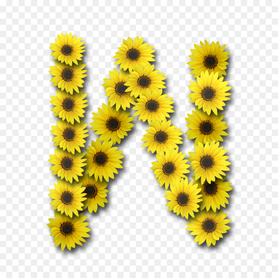 Buchstabe Case N Alphabet Desktop Tapete - Sonnenblume