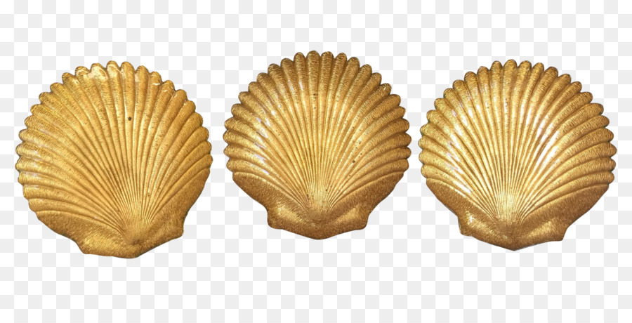 Clam Seashell Cockle Cozza, Ostrica - oro vintage