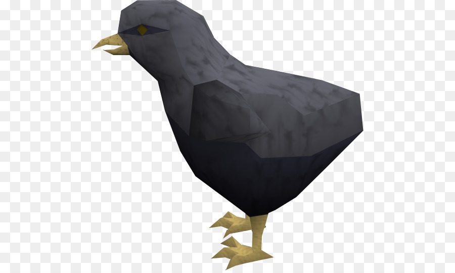 Baltimore Ravens Vogel-Kopf Und Schnabel Eines Huhns - Raven