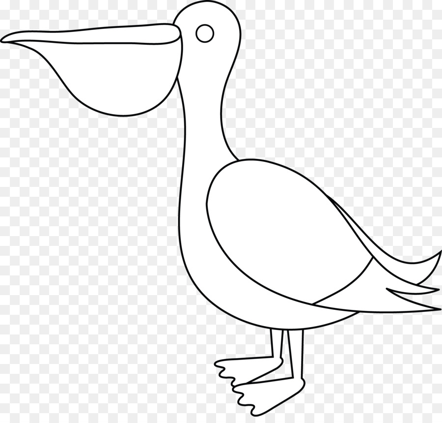 Pelikan Zeichnung Clip art - Pelikan