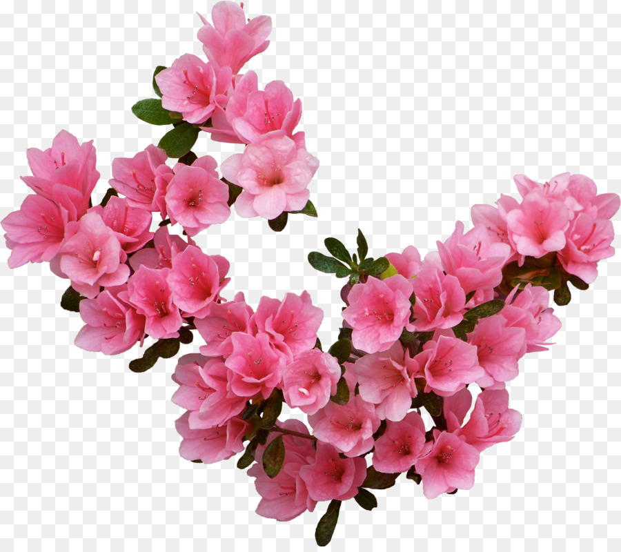 Blume-Informationen, Clip-art - rosa Blumen