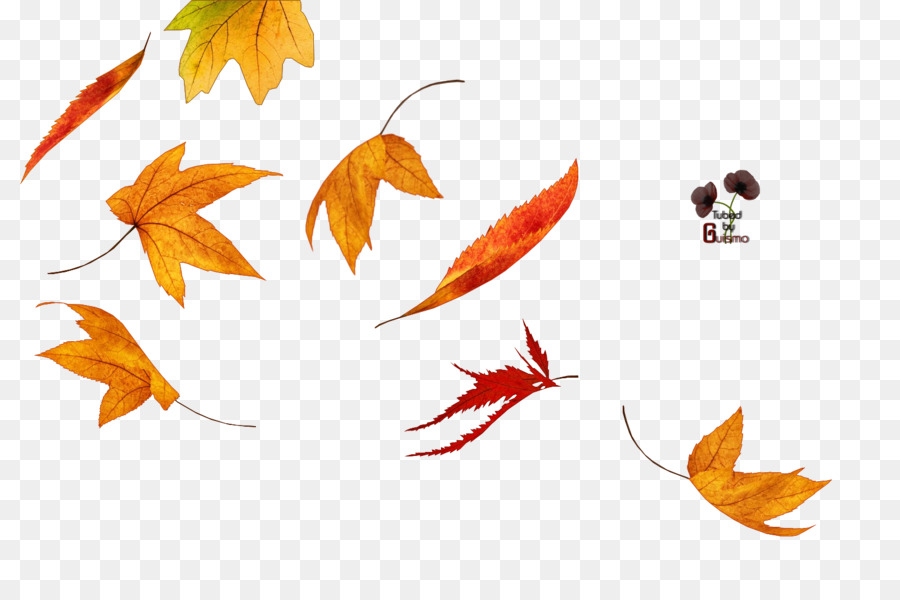 Herbst-Blatt, Farbe, Winter - Rohr