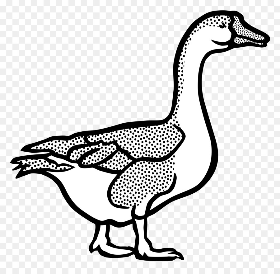 Kanada Goose Duck Clip Art - Gans