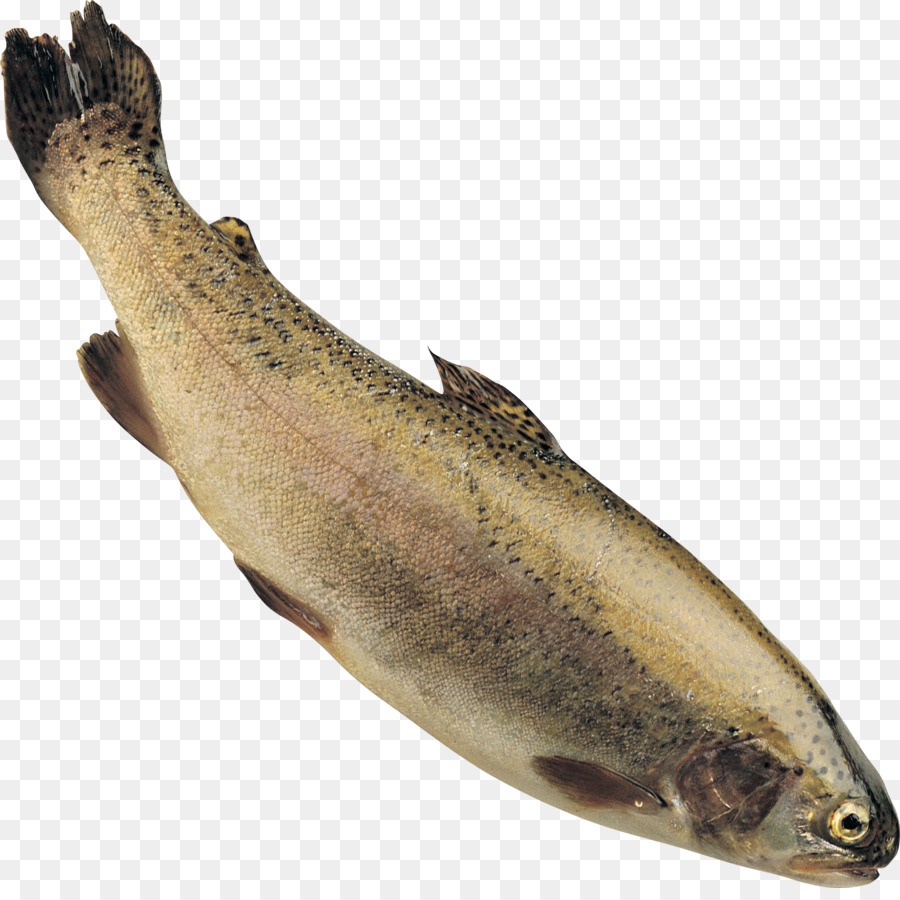 La trota iridea, Pesce e patatine Stream - trota