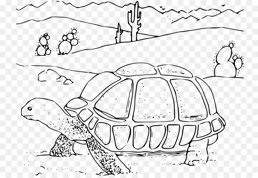 Cuốn sách màu Vẽ Clip nghệ thuật - con rùa