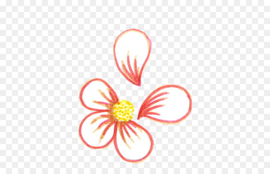 Il Disegno Petalo Fiori - petali di fiori