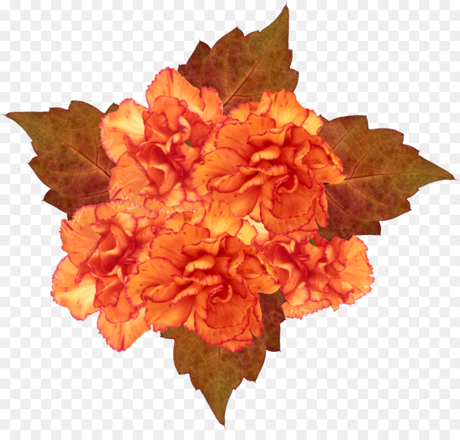 Petal Flower Clip Art - orange Blumen