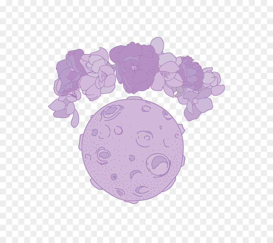 Flieder Violett Lila Magenta - lila Blume