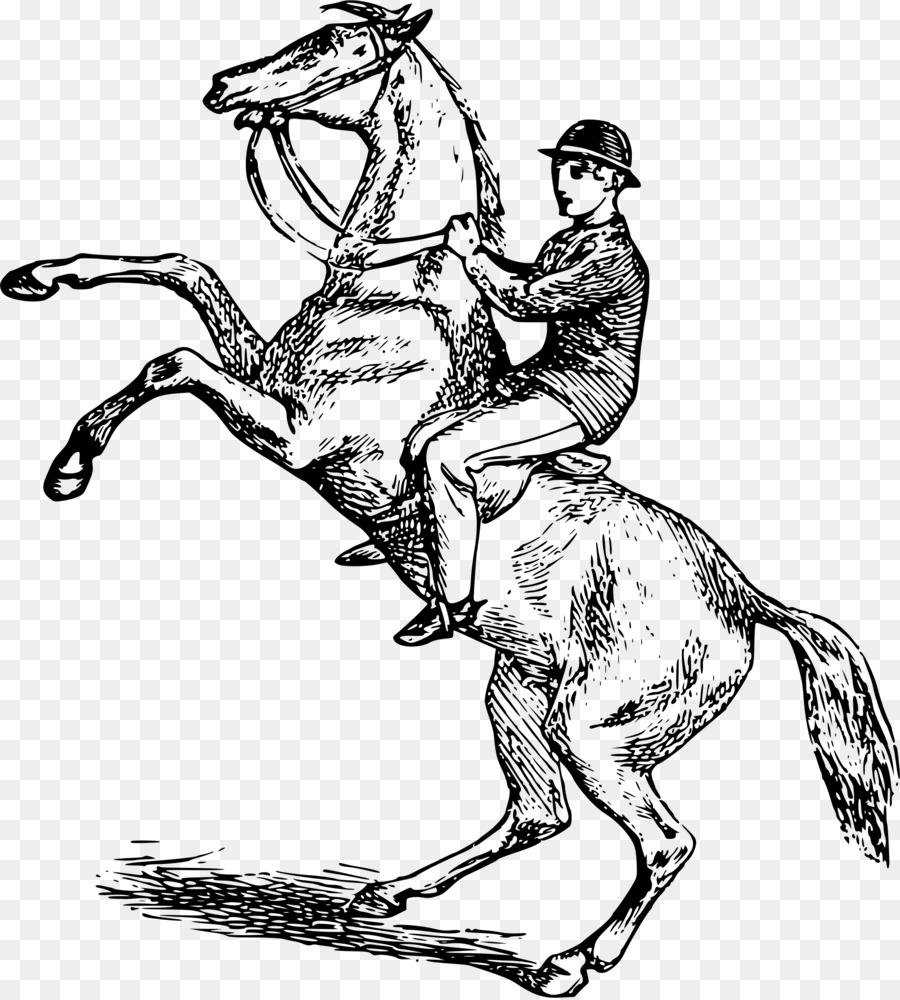Ngựa đua Ngựa, Nuôi Clip nghệ thuật - màu nước ngựa